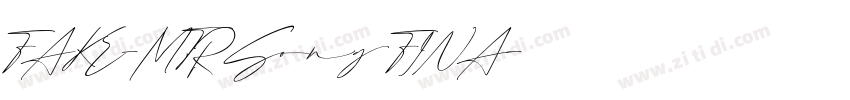 FAKE-MTRSong FINA字体转换